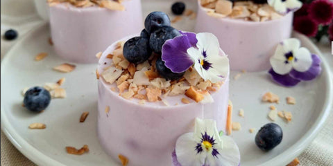 Blauw bessen panna cotta met whey